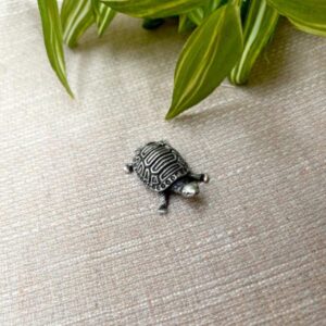 Silver tortoise for good luck